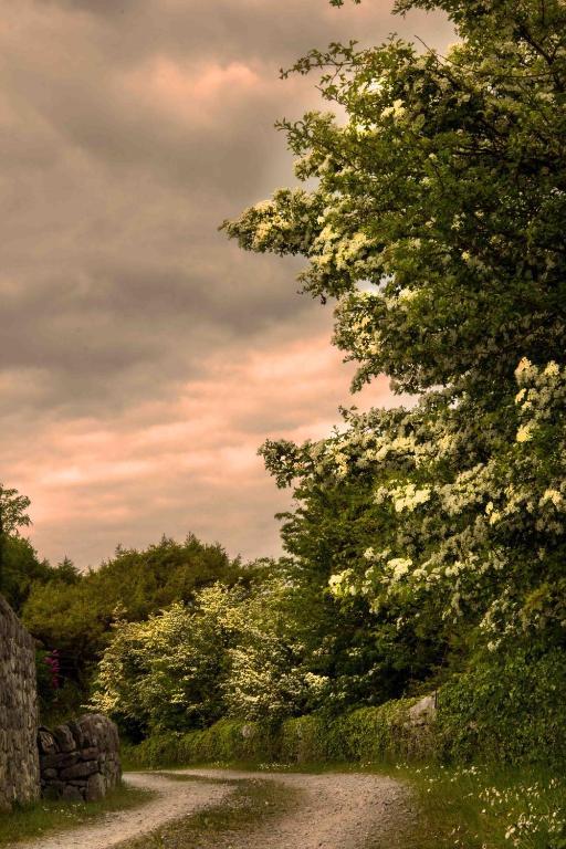 The Waters Country House Ballyvaughan Esterno foto